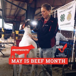 Meet your Posher, Ellen